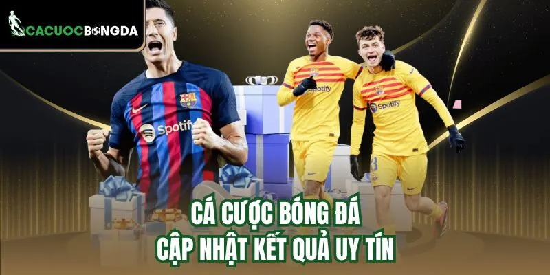 Cá cược bóng đá - Cập nhật kết quả uy tín