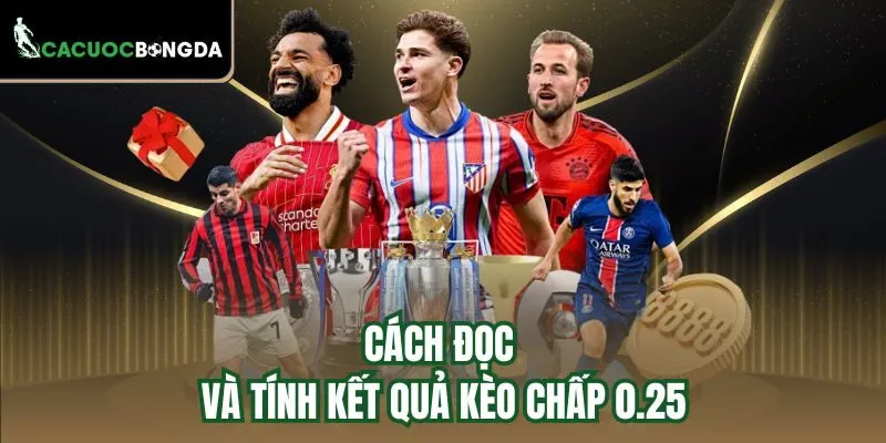 Cách đọc và tính kết quả kèo chấp 0.25