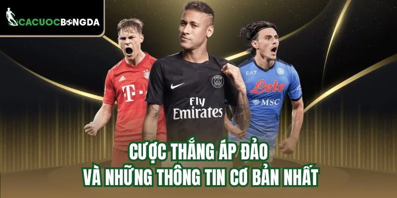 Cược thắng áp đảo và những thông tin cơ bản nhất