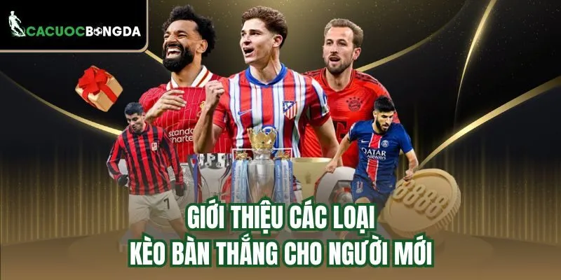 Giới thiệu các loại kèo bàn thắng cho người mới