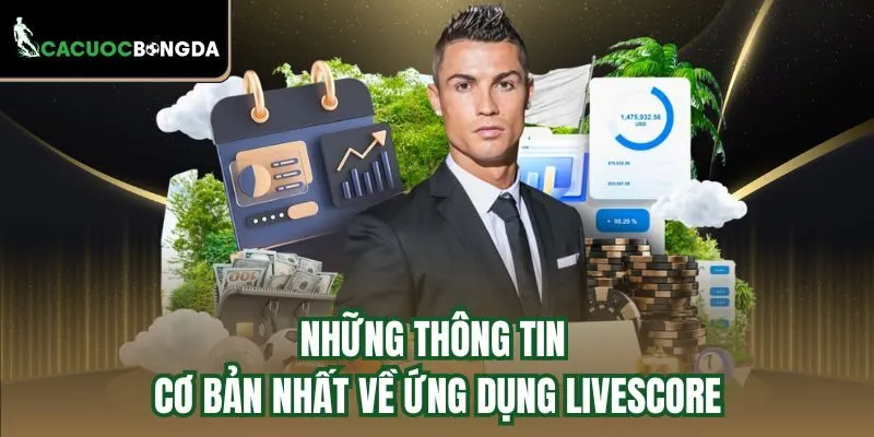 Những thông tin cơ bản nhất về ứng dụng Livescore