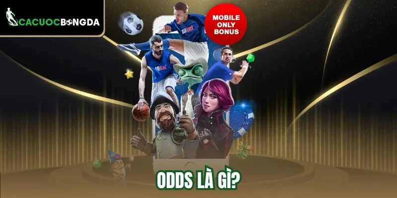 Odds là gì?