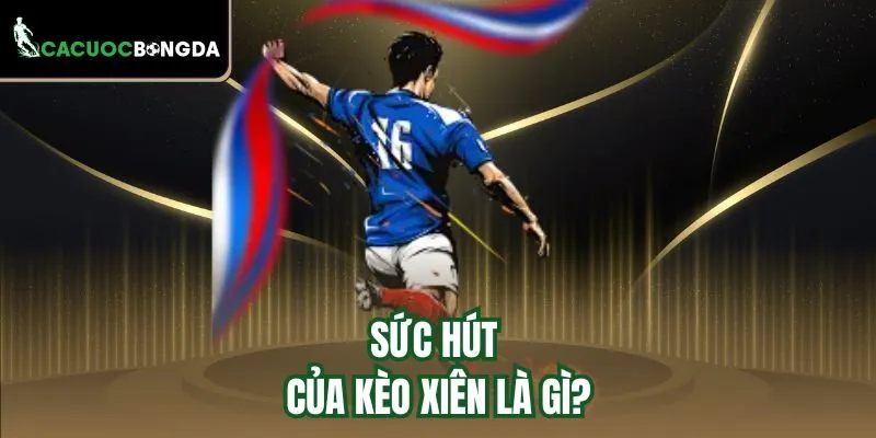 Sức hút của kèo xiên là gì?