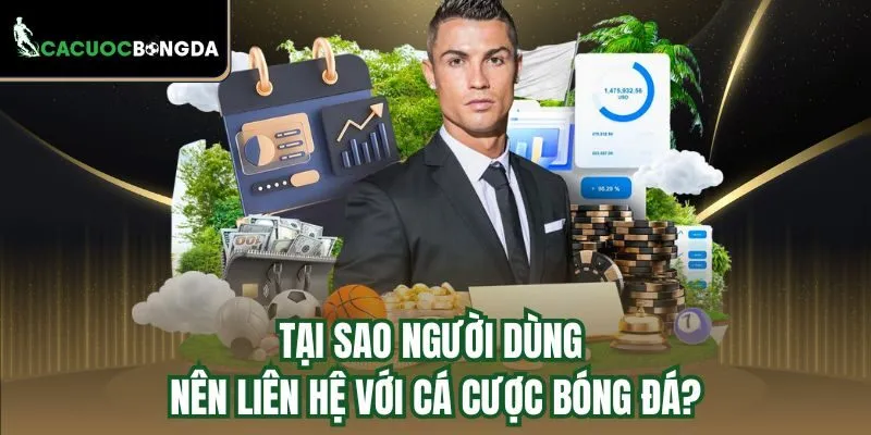 Tại sao người dùng nên liên hệ với Cá Cược Bóng Đá?