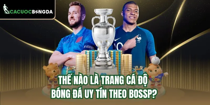 Thế nào là trang cá độ bóng đá uy tín theo BOSSP?