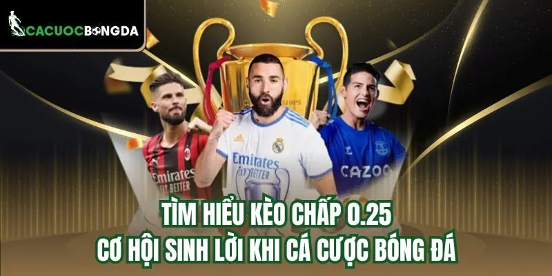 Kinh nghiệm bắt kèo chấp 0.25 từ cao thủ cá cược 
