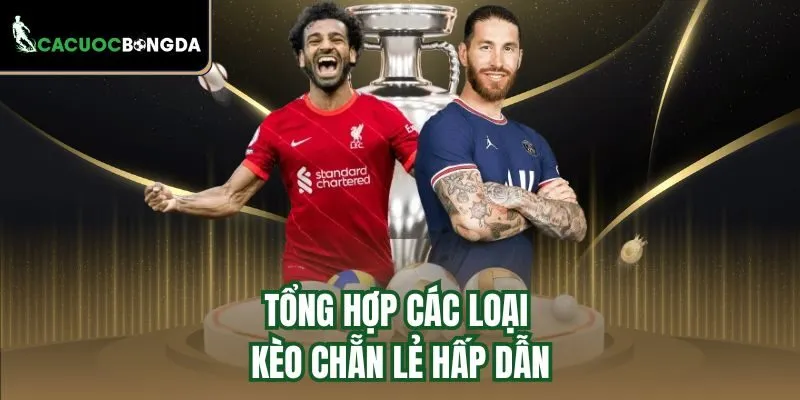 Tổng hợp các loại kèo chẵn lẻ hấp dẫn