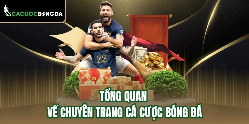 Tổng quan về chuyên trang Cá Cược Bóng Đá