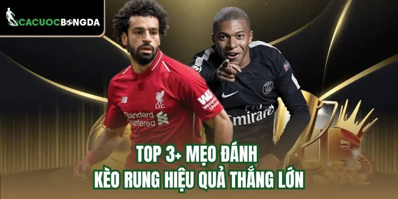 Top 3+ mẹo đánh kèo rung hiệu quả thắng lớn