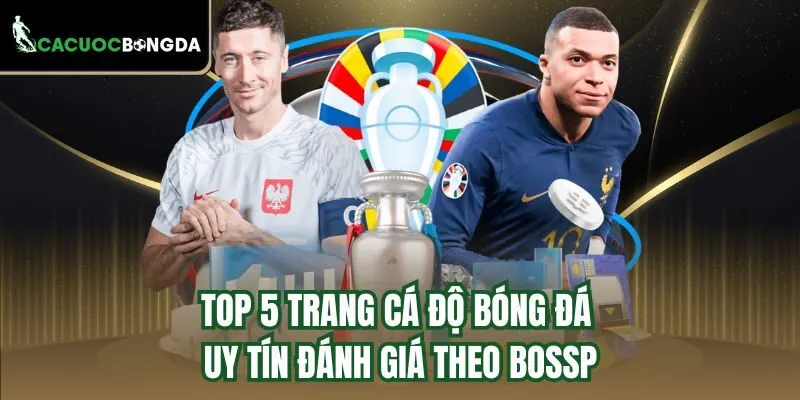 Top 5 trang cá độ bóng đá uy tín đánh giá theo BOSSP