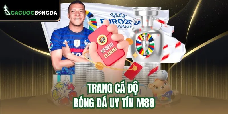Trang cá độ bóng đá uy tín M88