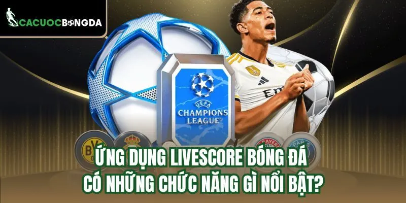 Ứng dụng Livescore bóng đá có những chức năng gì nổi bật?