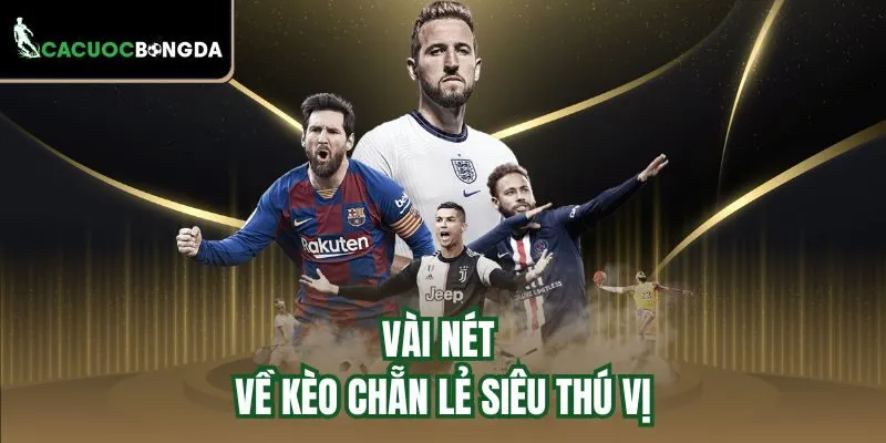 Vài nét về kèo chẵn lẻ siêu thú vị