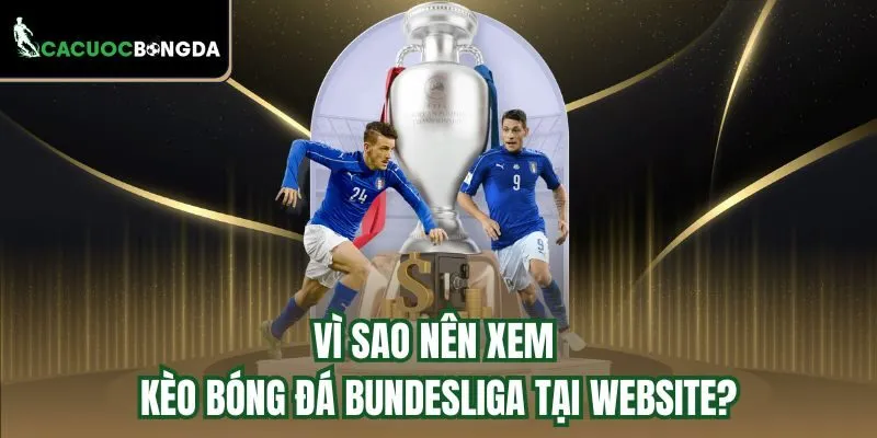 Vì sao nên xem kèo bóng đá Bundesliga tại website?